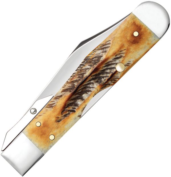 Cheetah Cub 6.5 Bone
