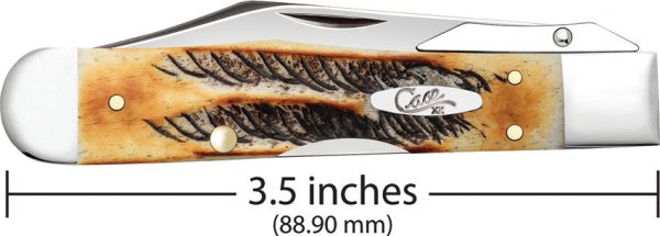Cheetah Cub 6.5 Bone