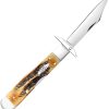 Cheetah Cub 6.5 Bone