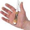 Cheetah Cub 6.5 Bone
