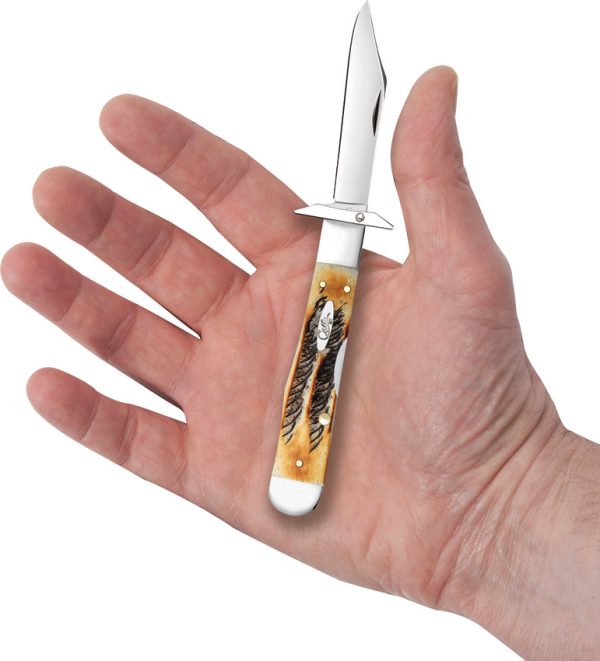 Cheetah Cub 6.5 Bone