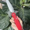 Daggerr Knives Parrot Button Lock Folding Knife Red 4.75" VG-10