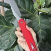 Daggerr Knives Parrot Button Lock Folding Knife Red 4.75" VG-10