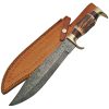 Damascus Stag Bowie Fixed Blade Knife 10.5" Damascus Steel Clip Point
