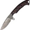 Companion Fixed Blade Red