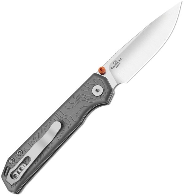 Kizer Cutlery Begleiter 2.9 S35VN Linerlock Folding Knife Gray