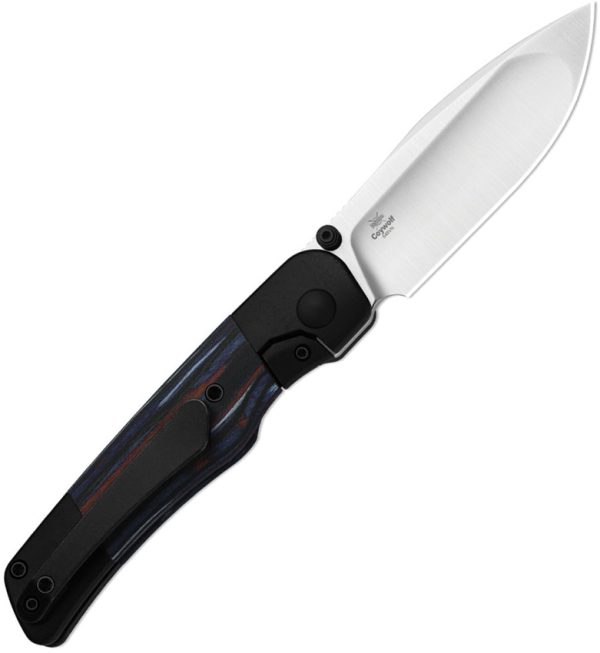 Kizer Cutlery Coywolf Framelock 3" S45VN Folding Knife Black