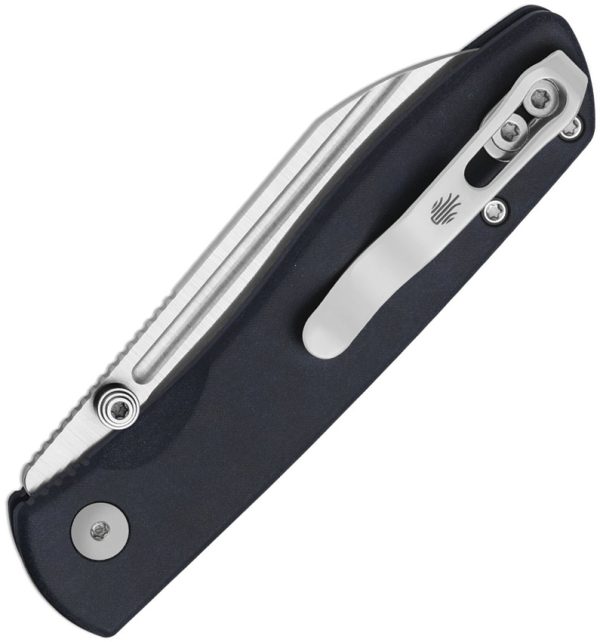 KIV3698A3_add_01 Kizer Cutlery Renissance Button Linerlock Folding Knife 3" Bohler N690