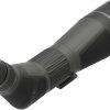 Leupold SX-4 Pro Guide 20-60x80 Angled Spotting Scope