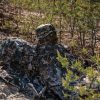 Mil-Tec Laser Cut Net 60x118 CIV-TEC WASP I Z1B Camo