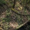 Mil-Tec Laser Cut Net 60" x 118" CIV-TEC WASP I Z3A Camo