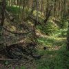 Mil-Tec Laser Cut Net 60" x 118" CIV-TEC WASP I Z3A Camo