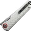 Baby Racoon V G10