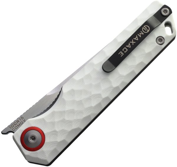 Baby Racoon V G10
