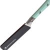 4.5" Steak Set SW Caribbean Bl