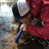 Membrane Solutions Water Filter Straw II with Lanyard