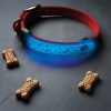 N05462_add_02 Nite Ize Nitedog LED Collar Cover Rechargeable