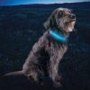 N05462_add_11 Nite Ize Nitedog LED Collar Cover Rechargeable