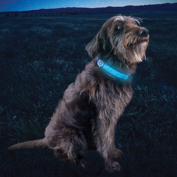 N05462_add_11 Nite Ize Nitedog LED Collar Cover Rechargeable