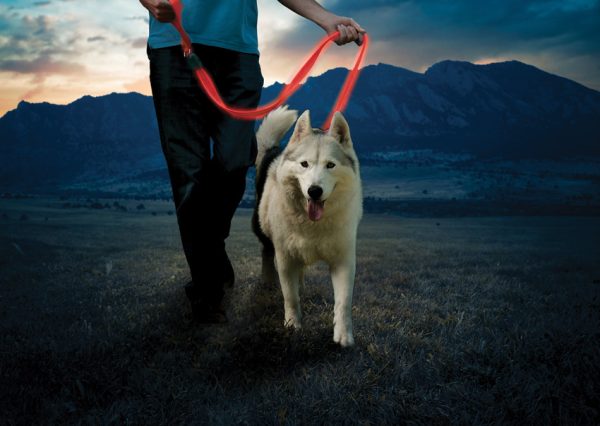 Nite Ize Nitedog Rechargeable Leash 60" Red