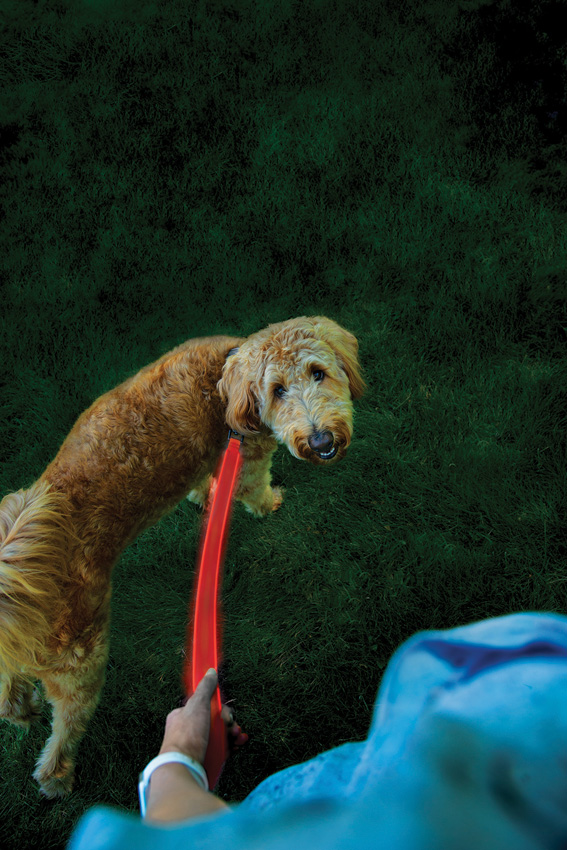 Nite Ize Nitedog Rechargeable Leash 60" Red