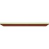 Nano Hone Diamond Resin Plate 100 Micron 8.25" x 3"