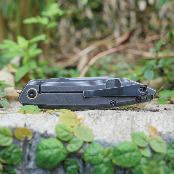 RKEP831SSB_add_09 RUIKE P831 Framelock Folding Knife Black 3.25" 14C28N