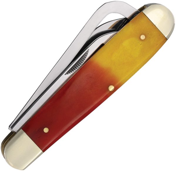 Gamecock Folder Red And Yellow