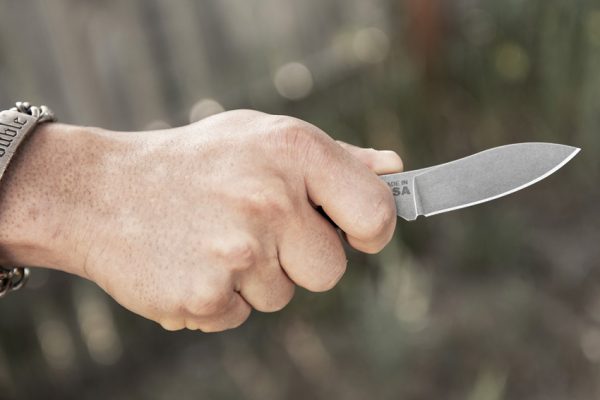 TPBTK02_add_09 TOPS Bird and Trout Knife 3.38" 440C Stainless Fixed Blade
