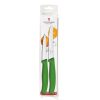 Victorinox Steak and Paring Knife Set Green 2-Piece