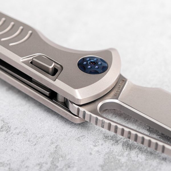 VOSA2501_add_04 Gavko Leopard Top Linerlock