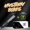 We Knife Co Ltd Baloo Mystery Box Folding Knife 3.25" CPM-20CV