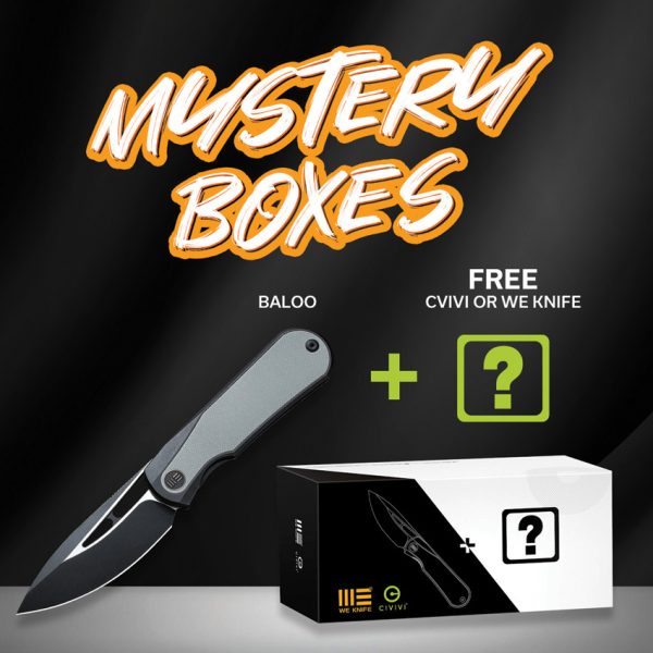 We Knife Co Ltd Baloo Mystery Box Folding Knife 3.25" CPM-20CV