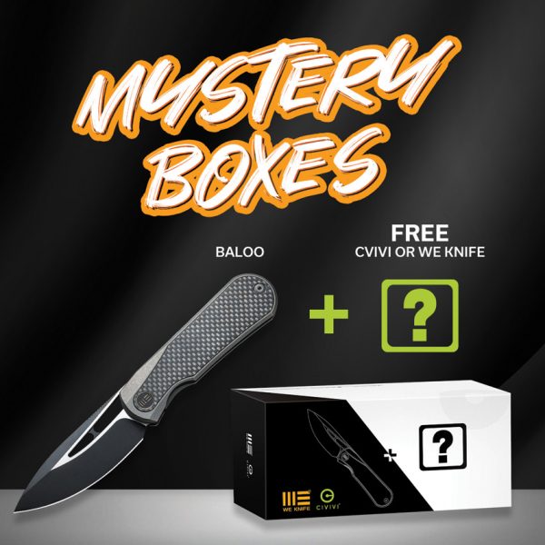 We Knife Co Ltd Baloo Mystery Box Folding Knife 3.25" CPM-20CV Gray Titanium Twill Carbon Fiber