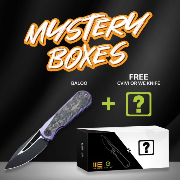 We Knife Co Ltd Baloo Mystery Box Folding Knife Purple Titanium CPM-20CV