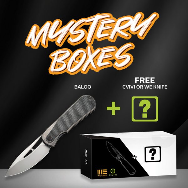 We Knife Co Ltd Baloo Mystery Box Micarta Folding Knife