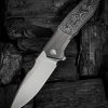 WE230912_add_06 We Knife Co Ltd Archeozoic 4" M390 Gray Titanium Folding Knife