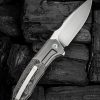 WE230912_add_07 We Knife Co Ltd Archeozoic 4" M390 Gray Titanium Folding Knife