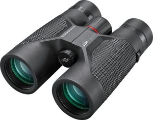 Simmons Pro Hunter 10x42 Black Binocular w/ Carry Case